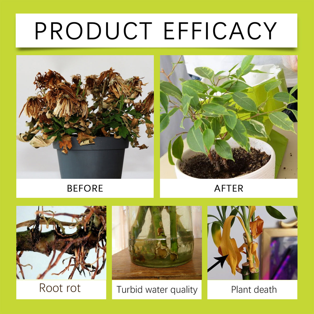 Plant Protection Spray - Buy 1 Get 2 Free