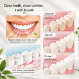 Sp-4 probiotic whitening toothpaste, Teeth Whitener Toothpaste, Natural Tooth Whitener (PACK OF 2)